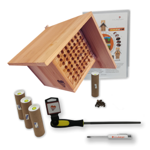 Hobby set met vijfsterrenhotel Modern