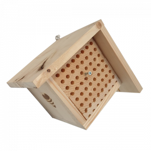 Vijfsterrenhotel Holland