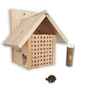 Bon voor Knuffelbijen met vijf sterren hotel Klassiek