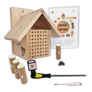 Bon voor Hobby set met vijf sterren hotel Klassiek