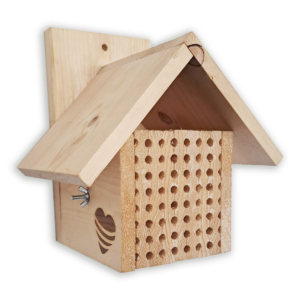 Vijf sterren hotel Klassiek